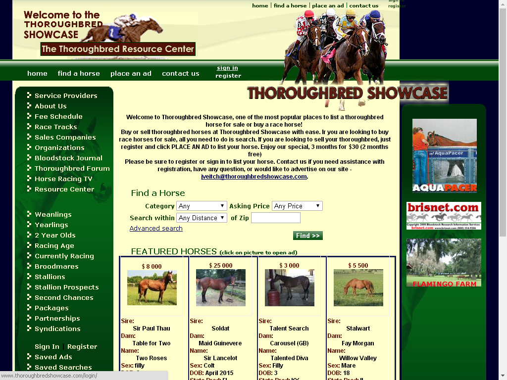 Website Design / Development & SEO Thoroughbred Horses for Sale - Sell a Race Horse
